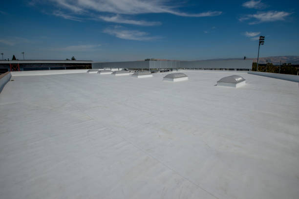 Best Emergency Roof Repair Services  in Cut Bank, MT